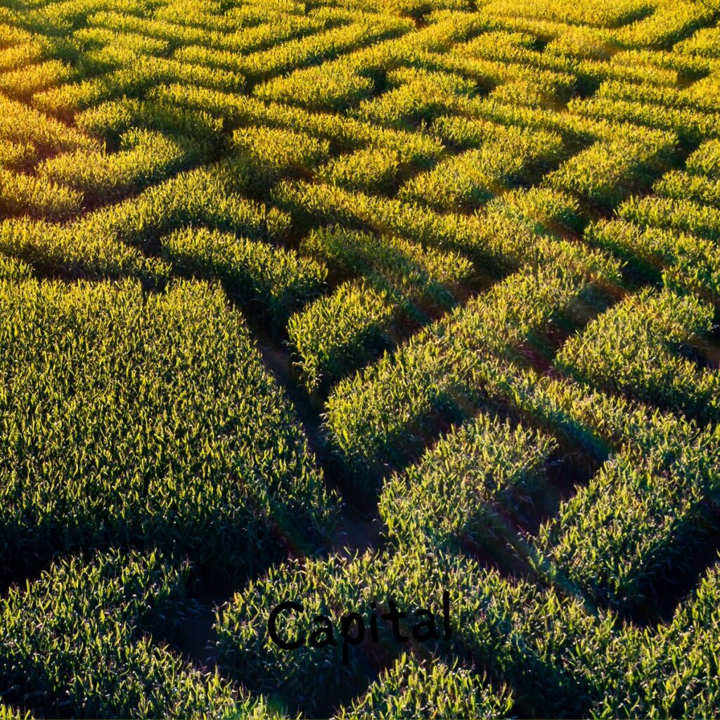 Growth Capital for SMEs and Scale-ups: The Ultimate Guide