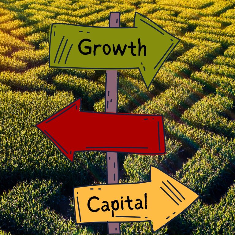 Growth Capital for SMEs and Scale-ups: The Ultimate Guide