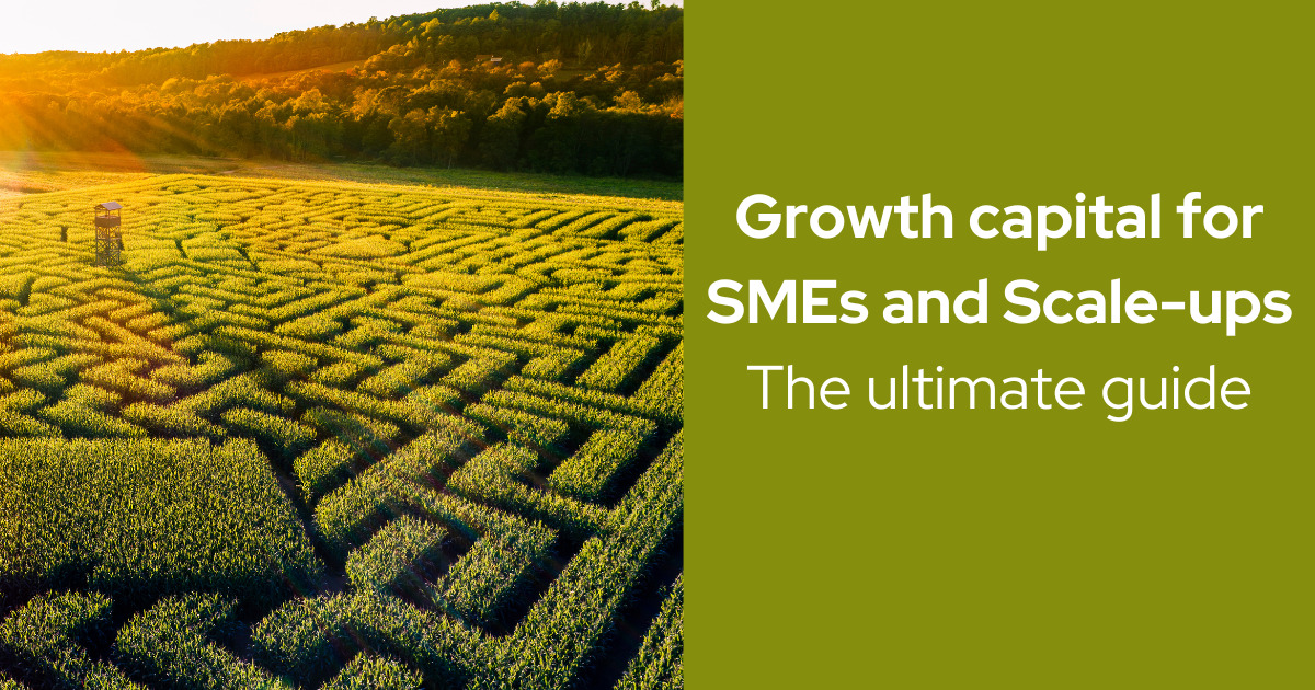 Growth Capital for SMEs and Scaleups The Ultimate Guide
